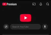 Screenshot_2025-03-07-20-36-18-18_f9ee0578fe1cc94de7482bd41accb329.webp