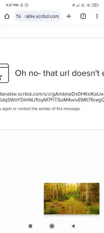 Screenshot_2025-03-09-21-47-39-974_com.android.chrome.webp