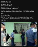 pulis.webp