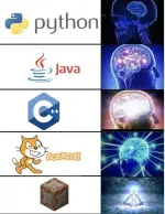 Coding Hierarchy.webp