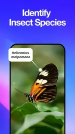 all-scanner-scan-identify-5-500x889.webp all-scanner-scan-identify-5-500x889.webp
