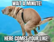 1740942234142.webp 1740942234142.webp