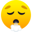 1f62e-1f4a8.png 1f62e-1f4a8.png