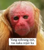 1741930729037.webp