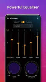 music-player-6-500x889.webp