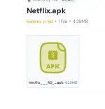 1742200831269.webp 1742200831269.webp