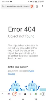 Screenshot_20250318-222756.webp