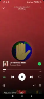 Screenshot_2025-03-19-07-31-44-648_com.spotify.music.webp