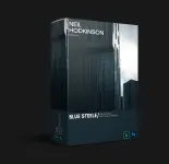 BLUE STEELE.webp BLUE STEELE.webp