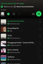 Screenshot_2025-03-19-17-23-56-764_com.spotify.music.webp
