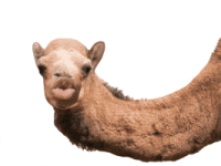 200.gif 200.gif