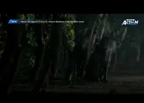 Screenshot_20250319_224227_Network Stream (Video) Player.webp
