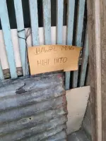1742436707198.webp