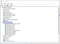 Capture.webp