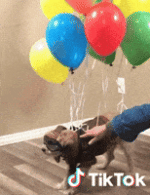 200.gif 200.gif