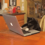 200.gif