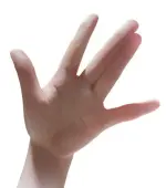 d231bb6e6c806ee51f1cbba2ff715fe0.webp d231bb6e6c806ee51f1cbba2ff715fe0.webp