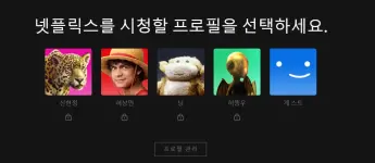 Capture 11.webp