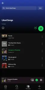 Screenshot_20250323-222646_Spotify.webp