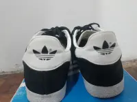 20250325_063343.webp
