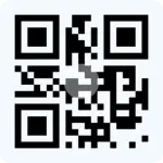 1000080504.webp 1000080504.webp
