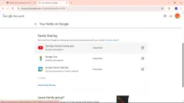 1742919567817.webp