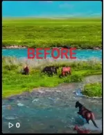 B4.webp B4.webp