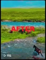B41.webp B41.webp