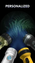 flashlight-plus-led-torch-5-500x889.webp flashlight-plus-led-torch-5-500x889.webp