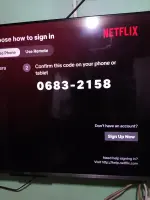 1743068859216428911793122945633.webp