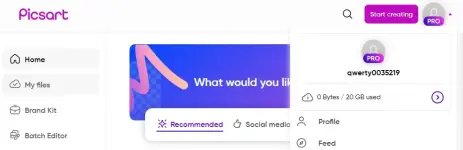 Pɪᴄsᴀʀᴛ pro.webp