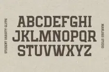 1743258764002.webp