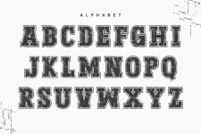 1743260041658.webp