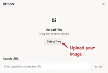 2.webp