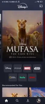 Screenshot_2025-03-31-06-14-57-846_com.disney.disneyplus.webp