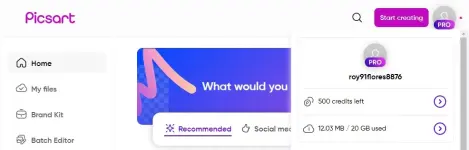 Pɪᴄsᴀʀᴛ pro.webp