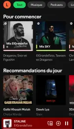 Screenshot_20250331_141038_Spotify.webp