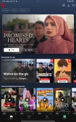 Screenshot_2025-03-31-21-25-59-672_com.netflix.mediaclient.webp