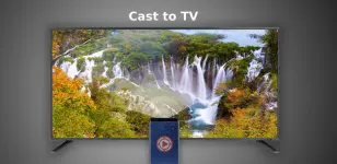 cast-tv-for-mod.webp