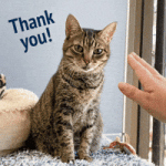 200.gif