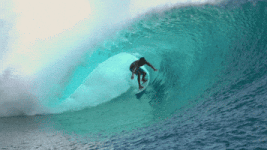 200.gif