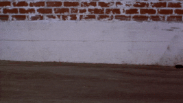 200.gif