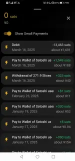 Screenshot_20250402_075935_com.livingroomofsatoshi.wallet.webp