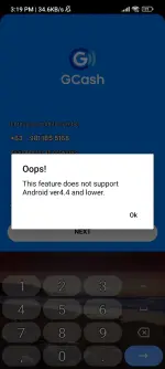 Screenshot_2025-03-30-15-19-34-454_com.globe.gcash.android.webp