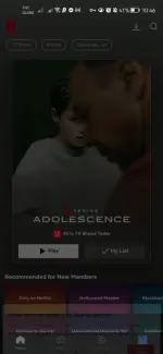 Screenshot_20250404_104631_com.netflix.mediaclient.webp