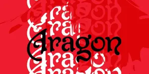 1743825325517.webp