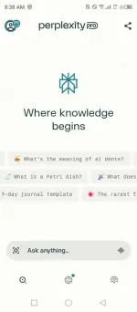 perplexity.webp
