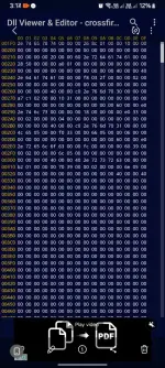 1000051695.webp