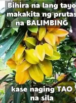 1000051827.webp