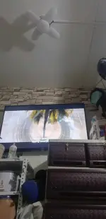1000000501.webp